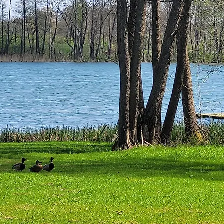 Wypoczynkowy Limajno Kormoran *